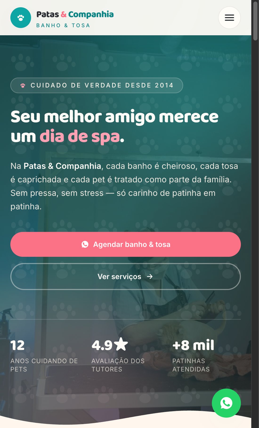 Prévia do site Patas & Companhia